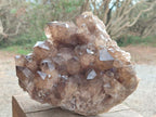 Natural XL Cascading Luena Smokey Citrine White Phantom Quartz Cluster x 1 From Luena, Congo
