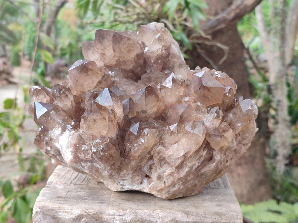 Natural XL Cascading Luena Smokey Citrine White Phantom Quartz Cluster x 1 From Luena, Congo