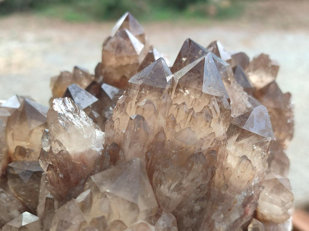 Natural XL Cascading Luena Smokey Citrine White Phantom Quartz Cluster x 1 From Luena, Congo