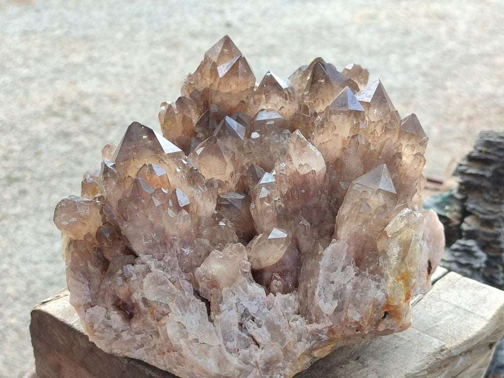 Natural XL Cascading Luena Smokey Citrine White Phantom Quartz Cluster x 1 From Luena, Congo