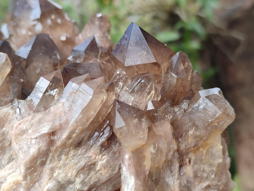 Natural XL Cascading Luena Smokey Citrine White Phantom Quartz Cluster x 1 From Luena, Congo