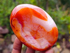 Polished Bowl and Sphere Carnelian Gemstone Set x 1 From Madagascar