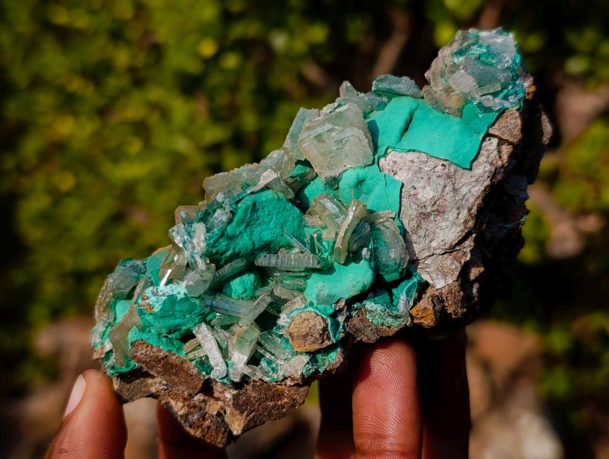 Natural Barite Crystals with Malachite Specimen on a Dolomite Matrix x 1 From Shangulowe Mine, Congo