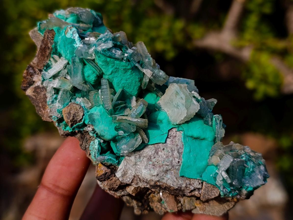 Natural Barite Crystals with Malachite Specimen on a Dolomite Matrix x 1 From Shangulowe Mine, Congo