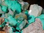 Natural Barite Crystals with Malachite Specimen on a Dolomite Matrix x 1 From Shangulowe Mine, Congo