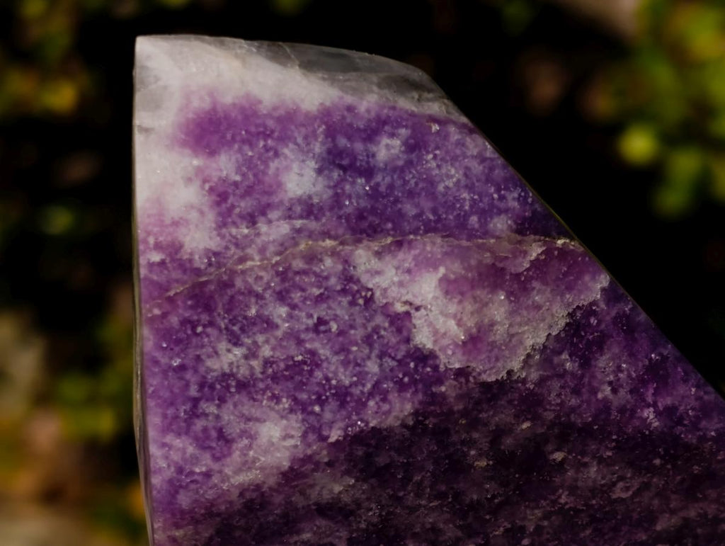 Polished Purple Lepidolite with White Feldspar Display Crystal x 1 From Madagascar