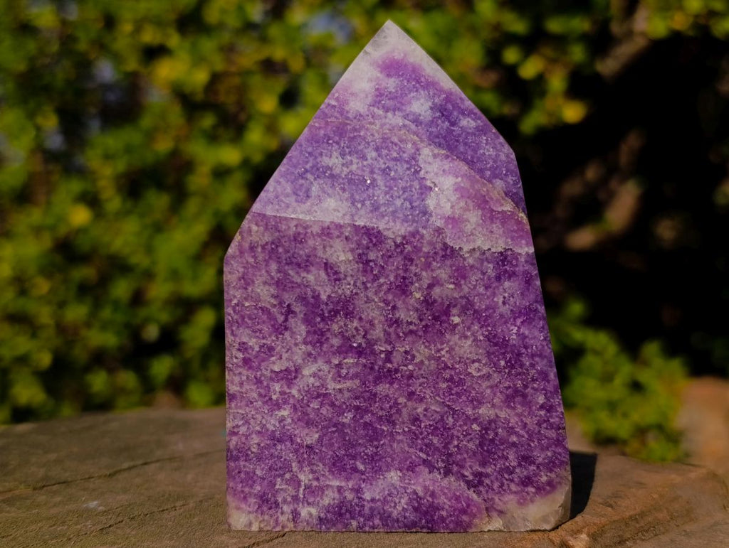 Polished Purple Lepidolite with White Feldspar Display Crystal x 1 From Madagascar