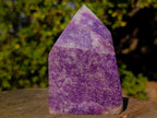 Polished Purple Lepidolite with White Feldspar Display Crystal x 1 From Madagascar