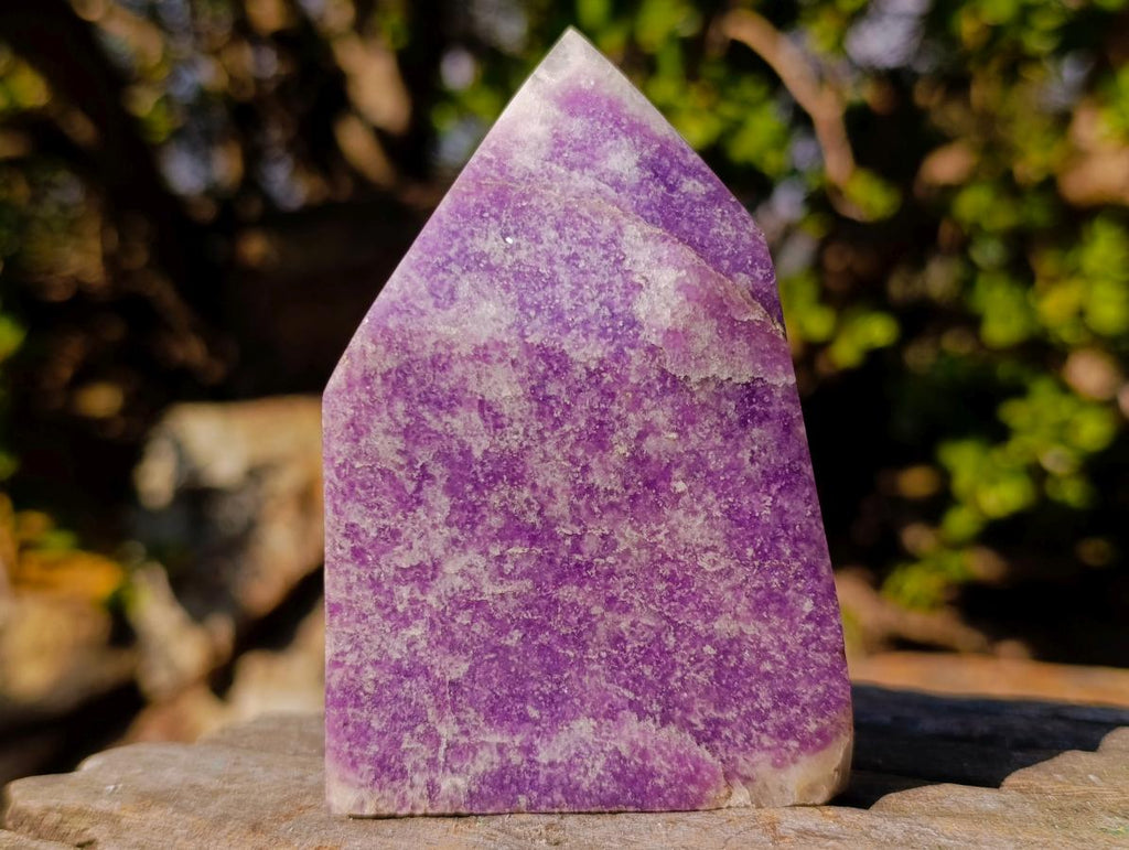 Polished Purple Lepidolite with White Feldspar Display Crystal x 1 From Madagascar