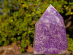 Polished Purple Lepidolite with White Feldspar Display Crystal x 1 From Madagascar