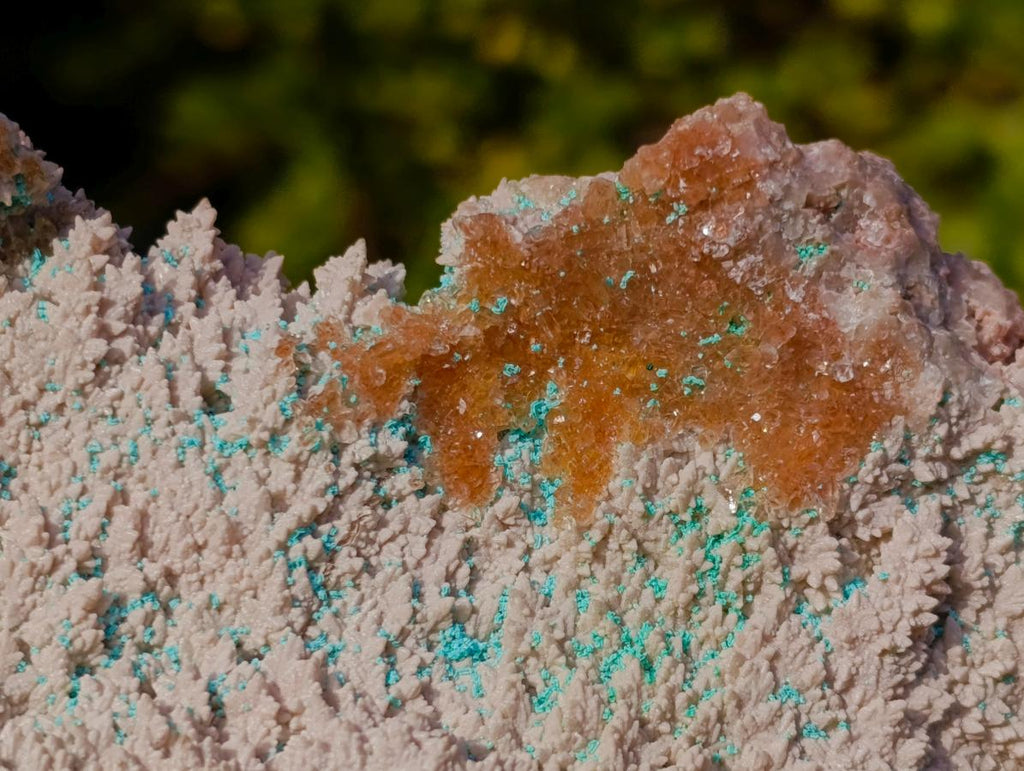 Natural Large Rare Rhodocalcite Specimen with Golden Dog Tooth Crystal x 1 From Mashamba West Mine, Congo