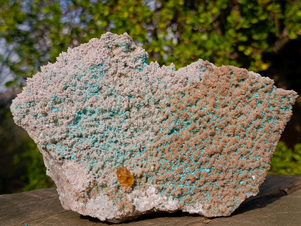 Natural Large Rare Rhodocalcite Specimen with Golden Dog Tooth Crystal x 1 From Mashamba West Mine, Congo