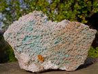 Natural Large Rare Rhodocalcite Specimen with Golden Dog Tooth Crystal x 1 From Mashamba West Mine, Congo