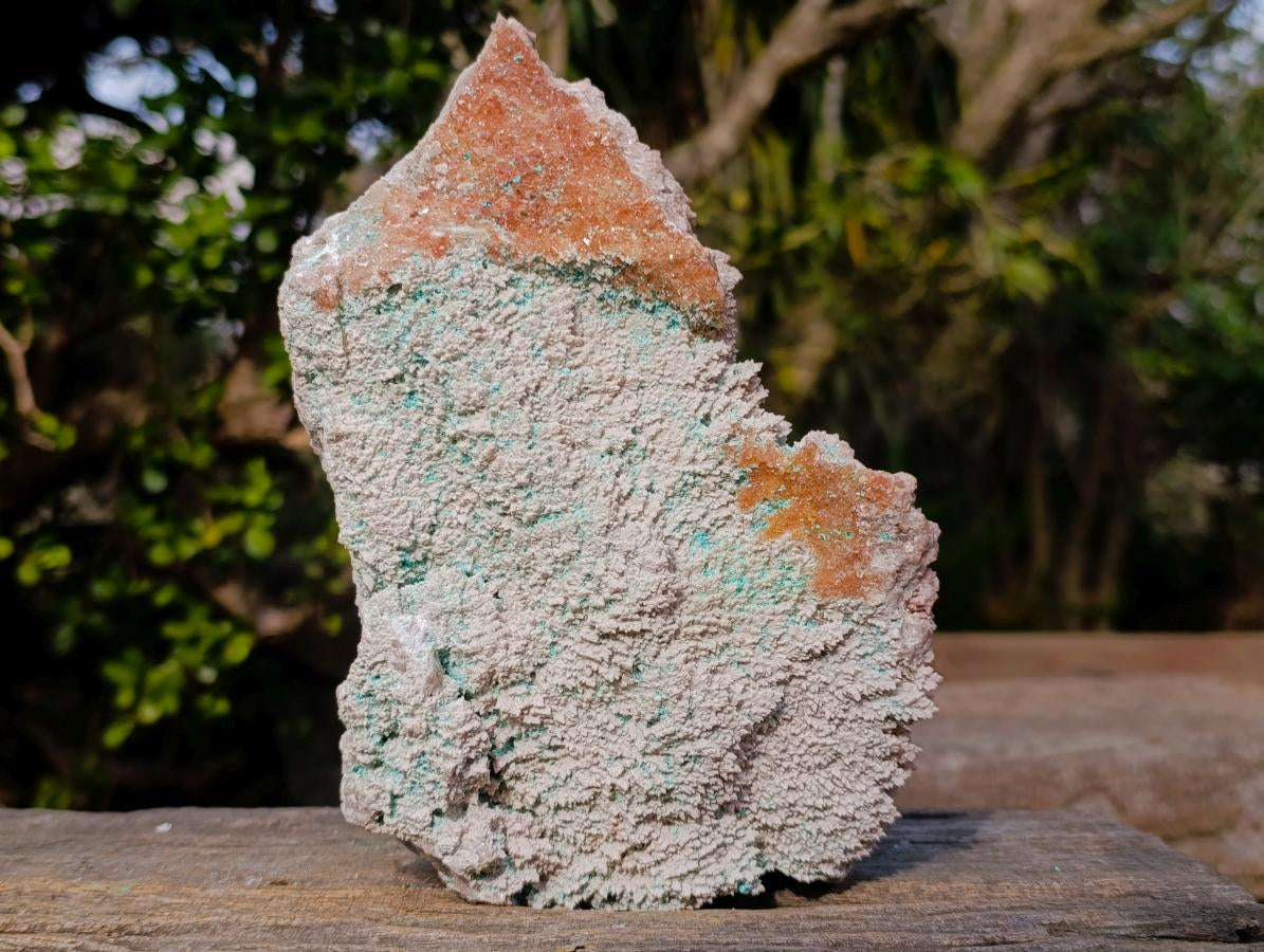 Natural Large Rare Rhodocalcite Specimen with Golden Dog Tooth Crystal x 1 From Mashamba West Mine, Congo