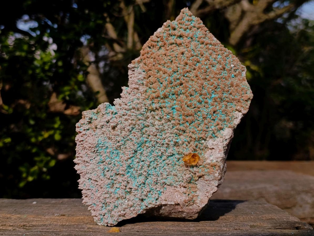 Natural Large Rare Rhodocalcite Specimen with Golden Dog Tooth Crystal x 1 From Mashamba West Mine, Congo