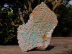 Natural Large Rare Rhodocalcite Specimen with Golden Dog Tooth Crystal x 1 From Mashamba West Mine, Congo