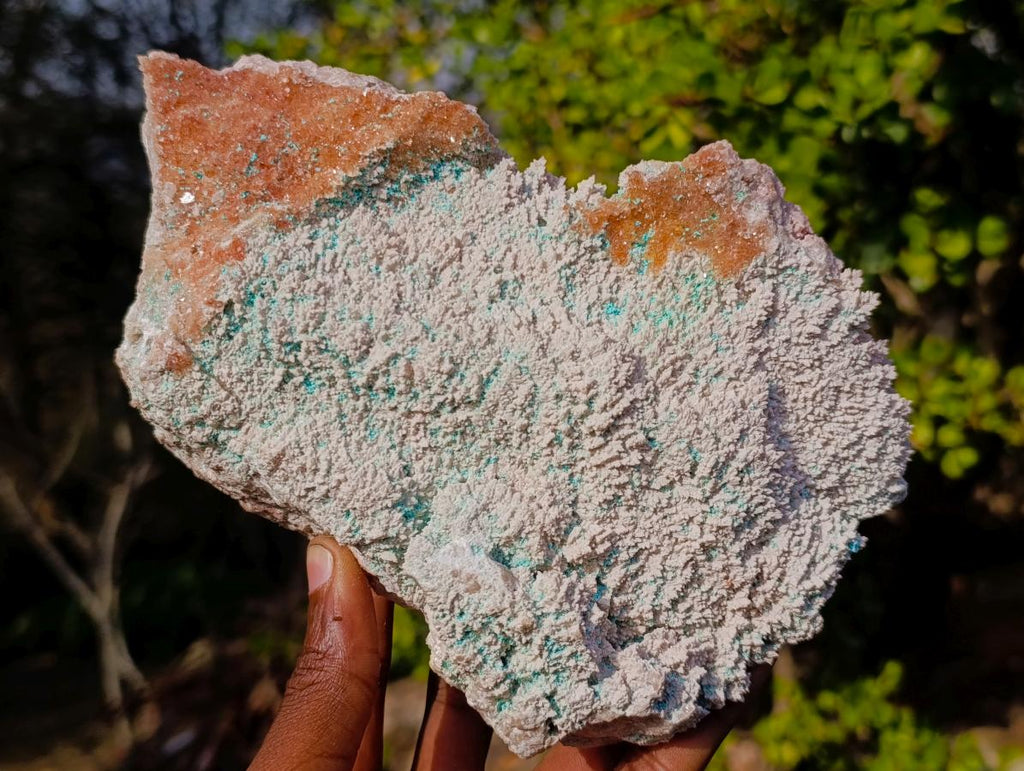 Natural Large Rare Rhodocalcite Specimen with Golden Dog Tooth Crystal x 1 From Mashamba West Mine, Congo
