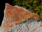 Natural Large Rare Rhodocalcite Specimen with Golden Dog Tooth Crystal x 1 From Mashamba West Mine, Congo