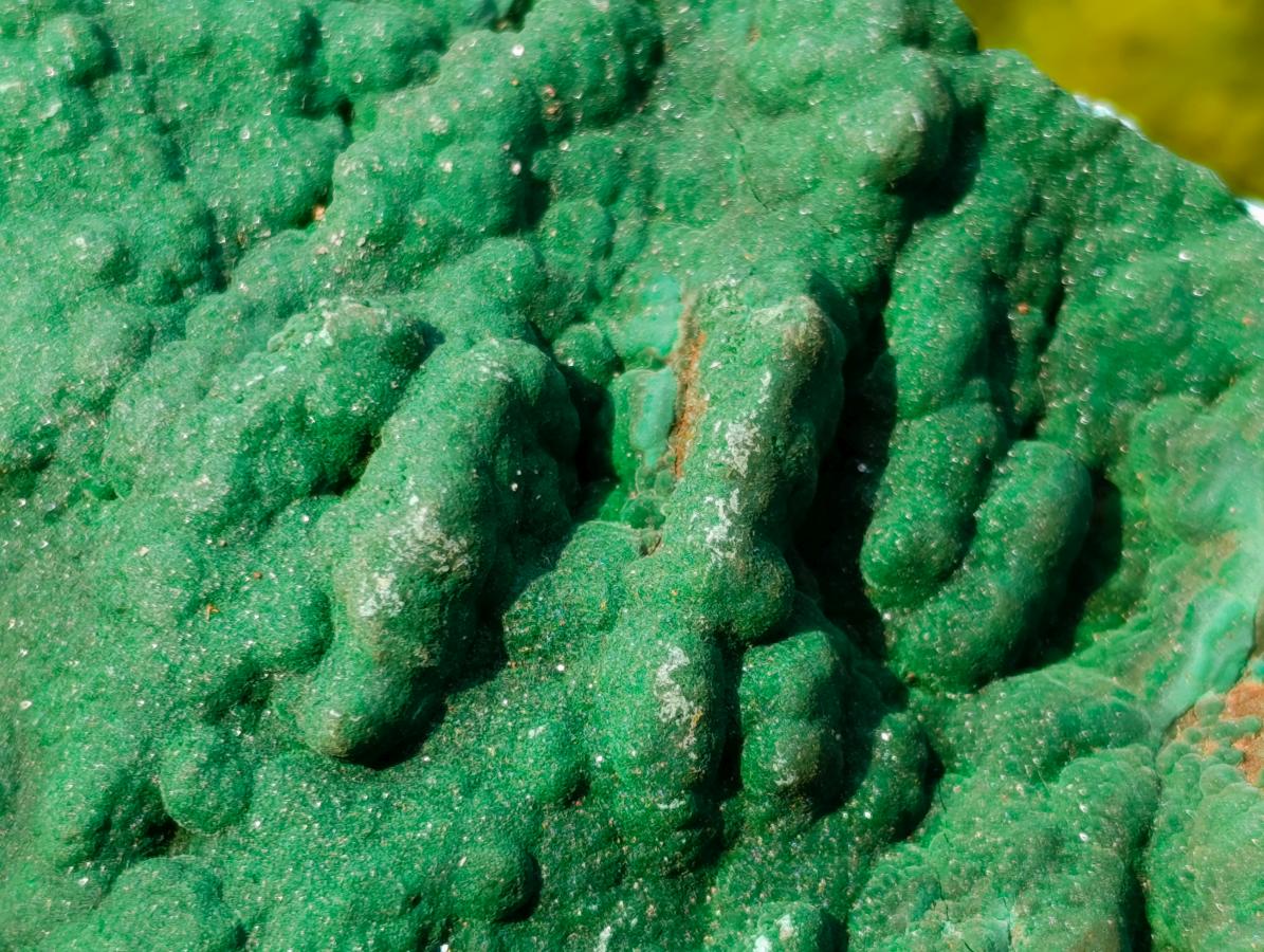 Natural Botryoidal Crystalline Malachite Plate Specimen with Chrysocolla x 1 From Kolwezi, Congo
