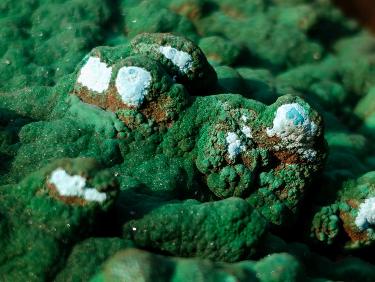 Natural Botryoidal Crystalline Malachite Plate Specimen with Chrysocolla x 1 From Kolwezi, Congo