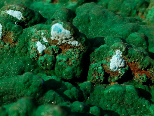 Natural Botryoidal Crystalline Malachite Plate Specimen with Chrysocolla x 1 From Kolwezi, Congo