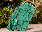 Natural Botryoidal Crystalline Malachite Plate Specimen with Chrysocolla x 1 From Kolwezi, Congo