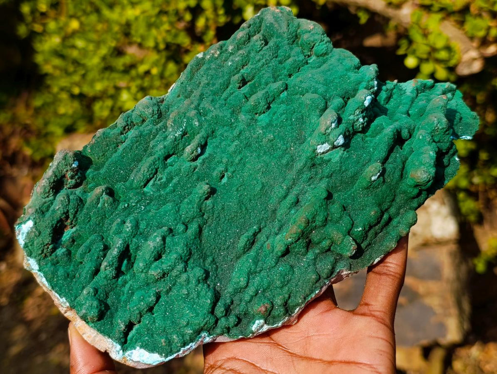 Natural Botryoidal Crystalline Malachite Plate Specimen with Chrysocolla x 1 From Kolwezi, Congo