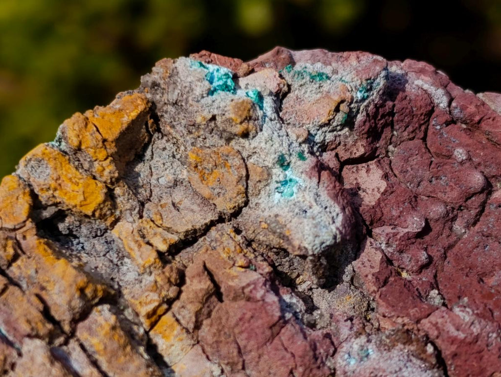 Natural Botryoidal Crystalline Malachite Plate Specimen with Chrysocolla x 1 From Kolwezi, Congo