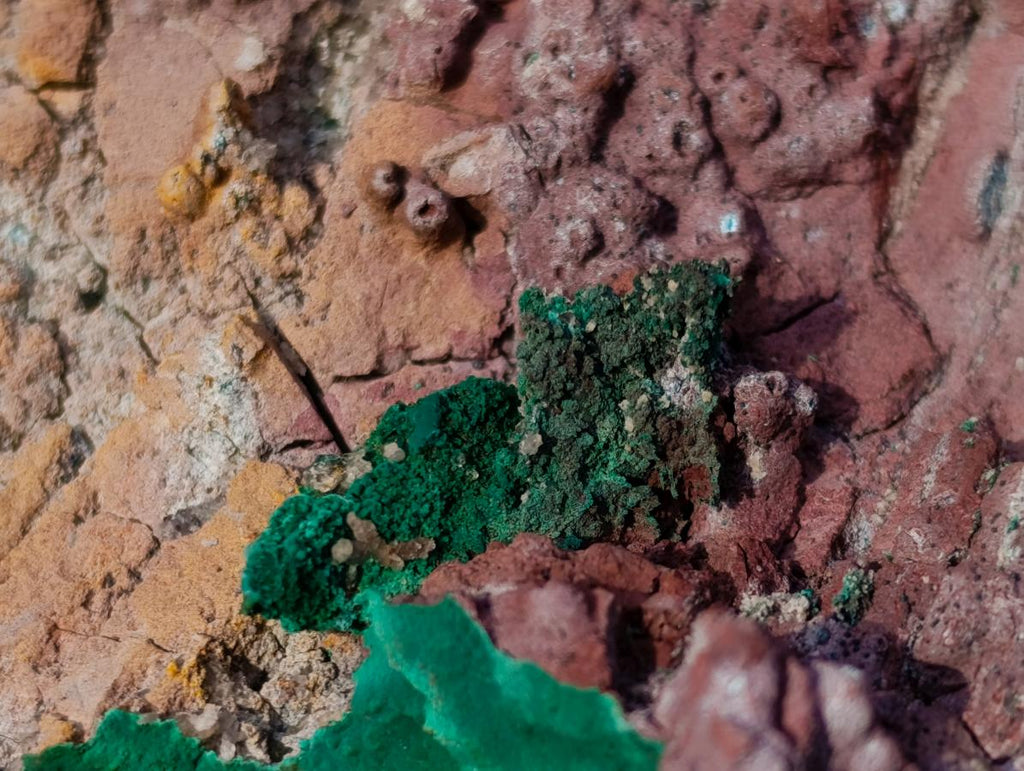 Natural Botryoidal Crystalline Malachite Plate Specimen with Chrysocolla x 1 From Kolwezi, Congo