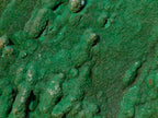 Natural Botryoidal Crystalline Malachite Plate Specimen with Chrysocolla x 1 From Kolwezi, Congo