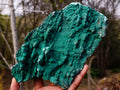 Natural Botryoidal Crystalline Malachite Plate Specimen with Chrysocolla x 1 From Kolwezi, Congo