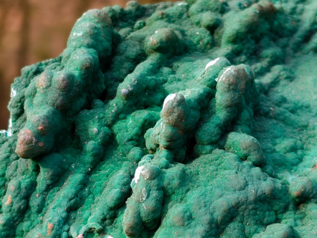 Natural Botryoidal Crystalline Malachite Plate Specimen with Chrysocolla x 1 From Kolwezi, Congo