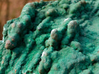 Natural Botryoidal Crystalline Malachite Plate Specimen with Chrysocolla x 1 From Kolwezi, Congo