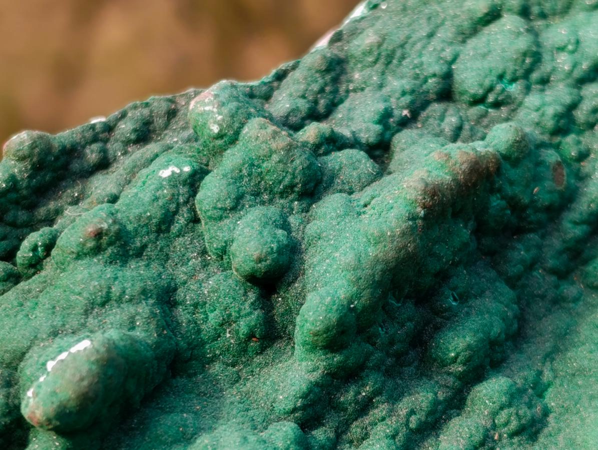 Natural Botryoidal Crystalline Malachite Plate Specimen with Chrysocolla x 1 From Kolwezi, Congo