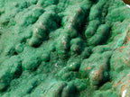 Natural Botryoidal Crystalline Malachite Plate Specimen with Chrysocolla x 1 From Kolwezi, Congo