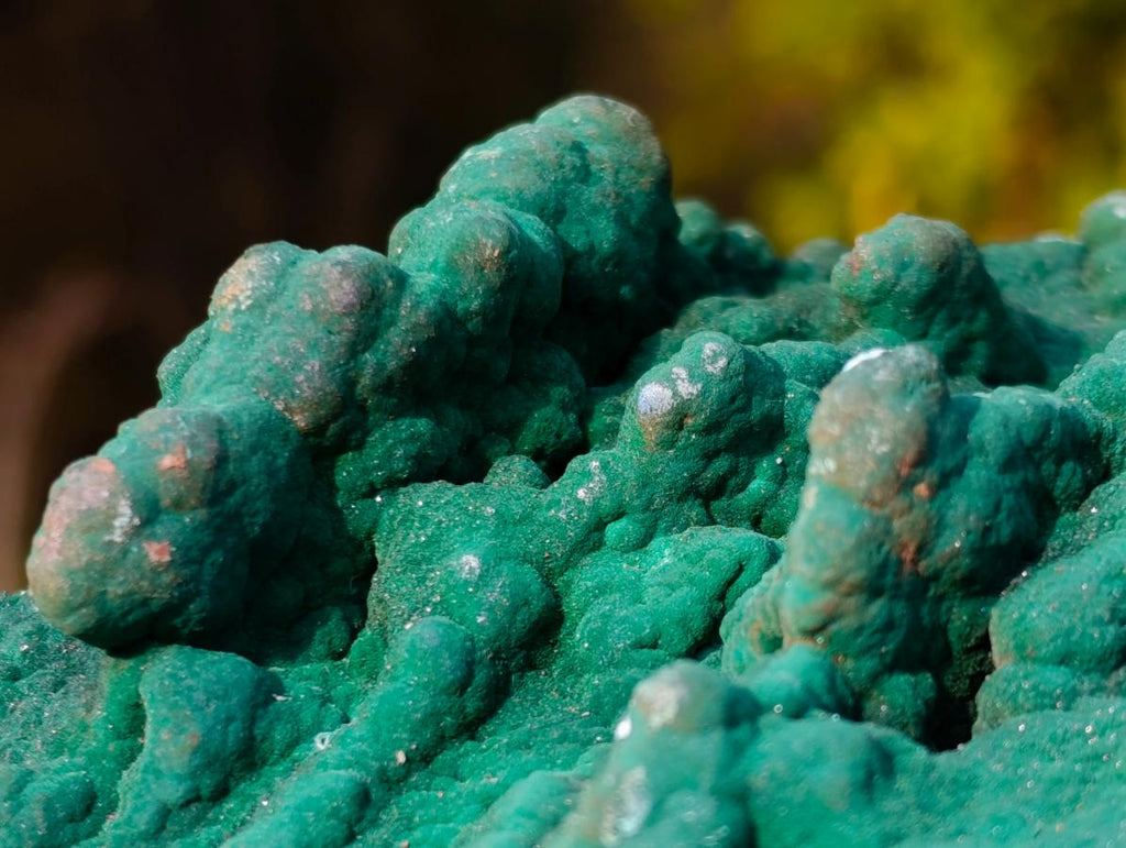 Natural Botryoidal Crystalline Malachite Plate Specimen with Chrysocolla x 1 From Kolwezi, Congo