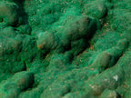 Natural Botryoidal Crystalline Malachite Plate Specimen with Chrysocolla x 1 From Kolwezi, Congo