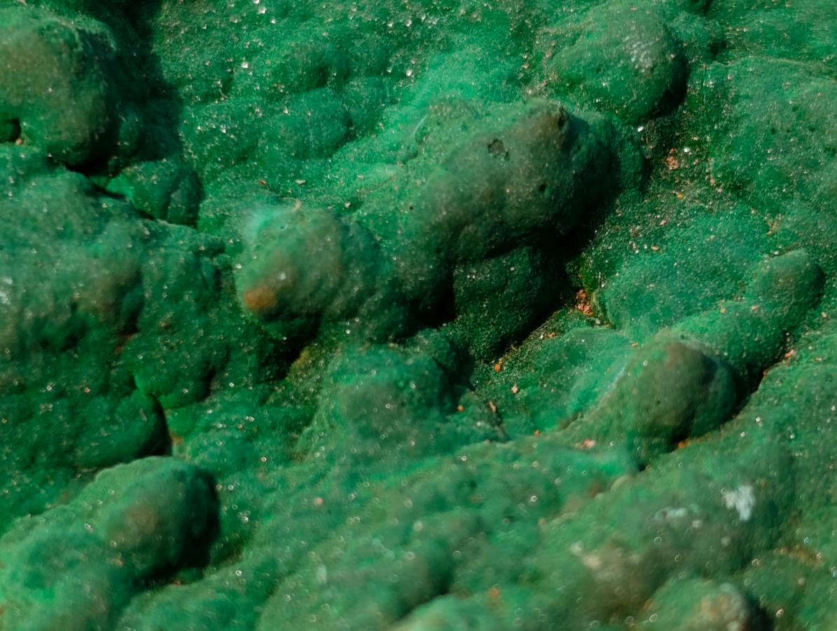 Natural Botryoidal Crystalline Malachite Plate Specimen with Chrysocolla x 1 From Kolwezi, Congo