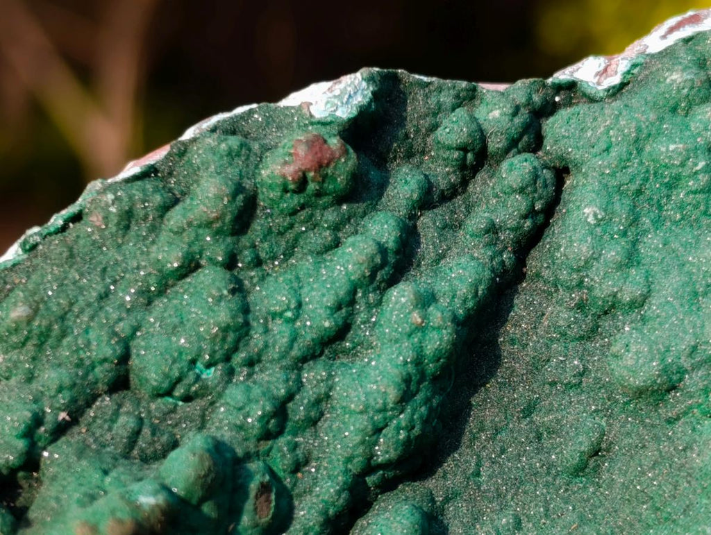 Natural Botryoidal Crystalline Malachite Plate Specimen with Chrysocolla x 1 From Kolwezi, Congo