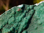 Natural Botryoidal Crystalline Malachite Plate Specimen with Chrysocolla x 1 From Kolwezi, Congo