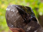 Polished Dark Morion Smokey Amethyst Display Crystal x 1 From Madagascar