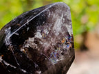 Polished Dark Morion Smokey Amethyst Display Crystal x 1 From Madagascar
