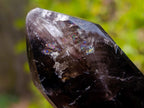 Polished Dark Morion Smokey Amethyst Display Crystal x 1 From Madagascar