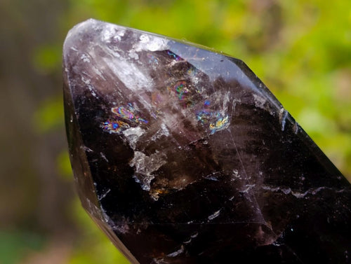 Polished Dark Morion Smokey Amethyst Display Crystal x 1 From Madagascar