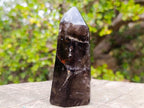 Polished Dark Morion Smokey Amethyst Display Crystal x 1 From Madagascar