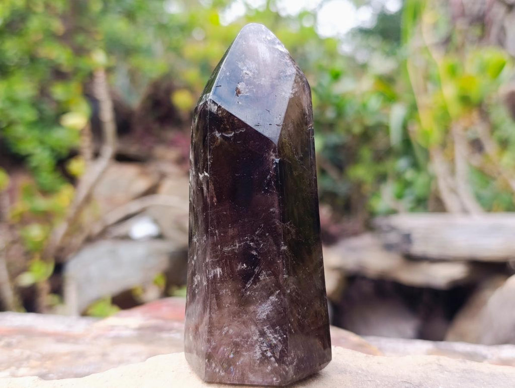 Polished Dark Morion Smokey Amethyst Display Crystal x 1 From Madagascar