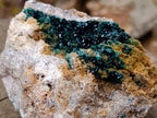 Natural Shiny Dark Green Crystalline Malachite Specimen x 1 From Kolwezi, Congo