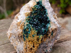 Natural Shiny Dark Green Crystalline Malachite Specimen x 1 From Kolwezi, Congo