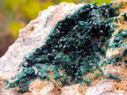 Natural Shiny Dark Green Crystalline Malachite Specimen x 1 From Kolwezi, Congo