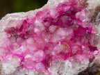 Natural Rare Hot Pink Spherocobaltite Specimen x 1 From Mashamba West Mine, Congo